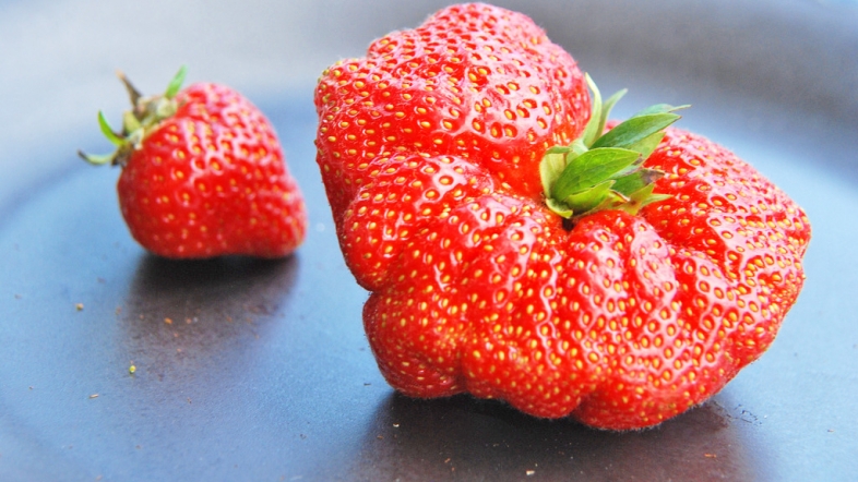 Luleshtrydhet e Deformuara – A Janë të Ngrënshme?