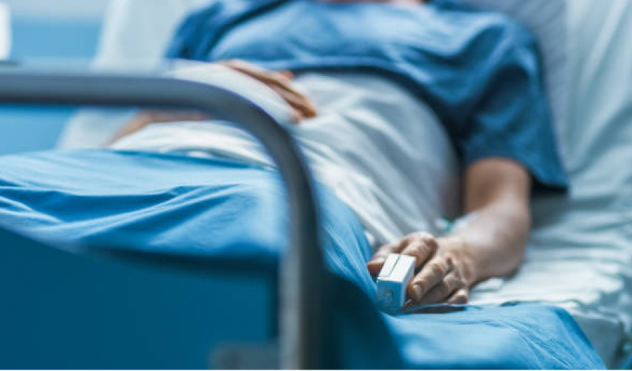 Mëlçia e derrit në shërbim të pacientëve: Një studim i ri klinik synon të shpëtojë jetë me ndihmën e gjenetikës