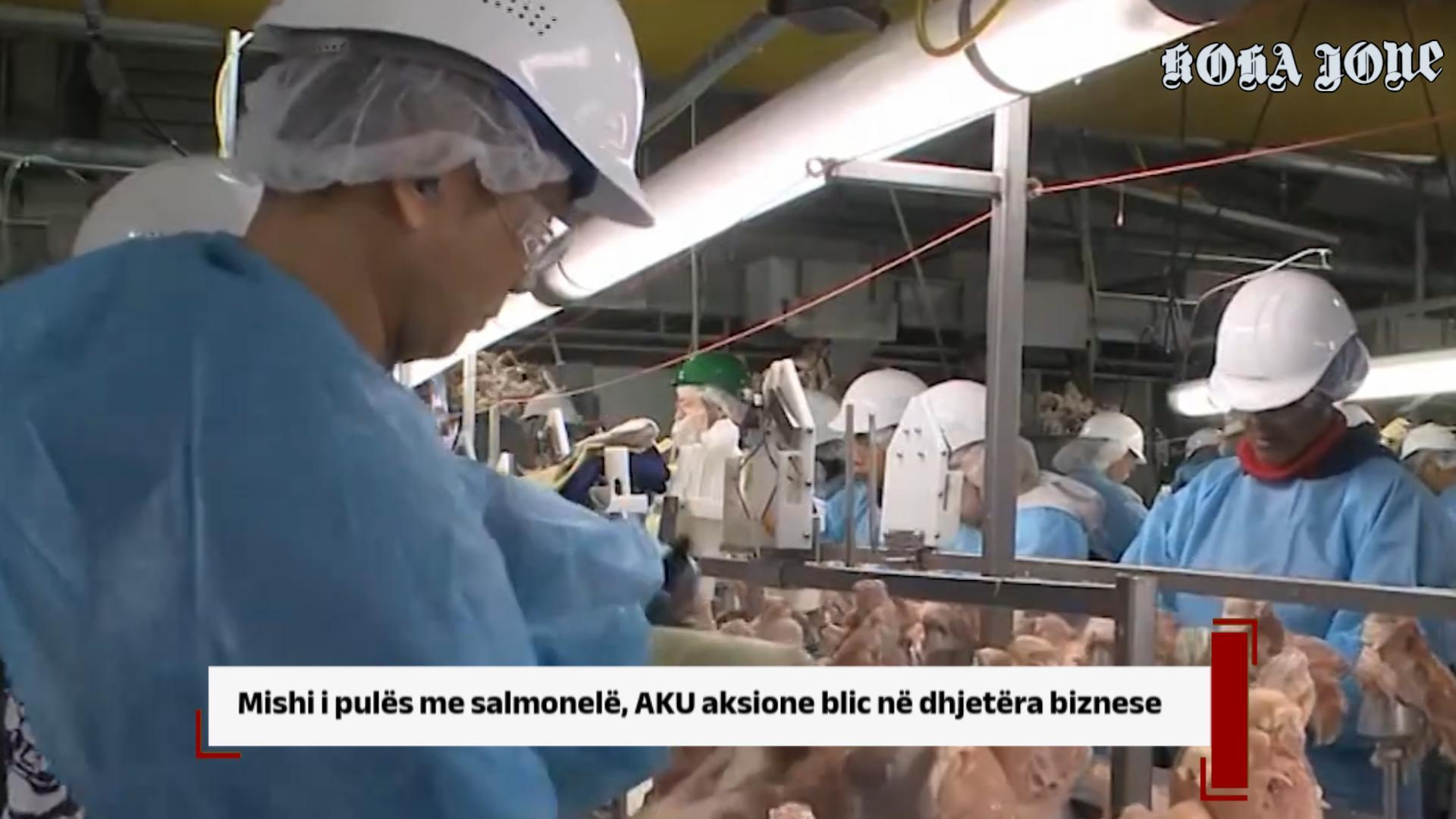 Mishi i pulës me salmonelë, AKU aksione blic në dhjetëra biznese