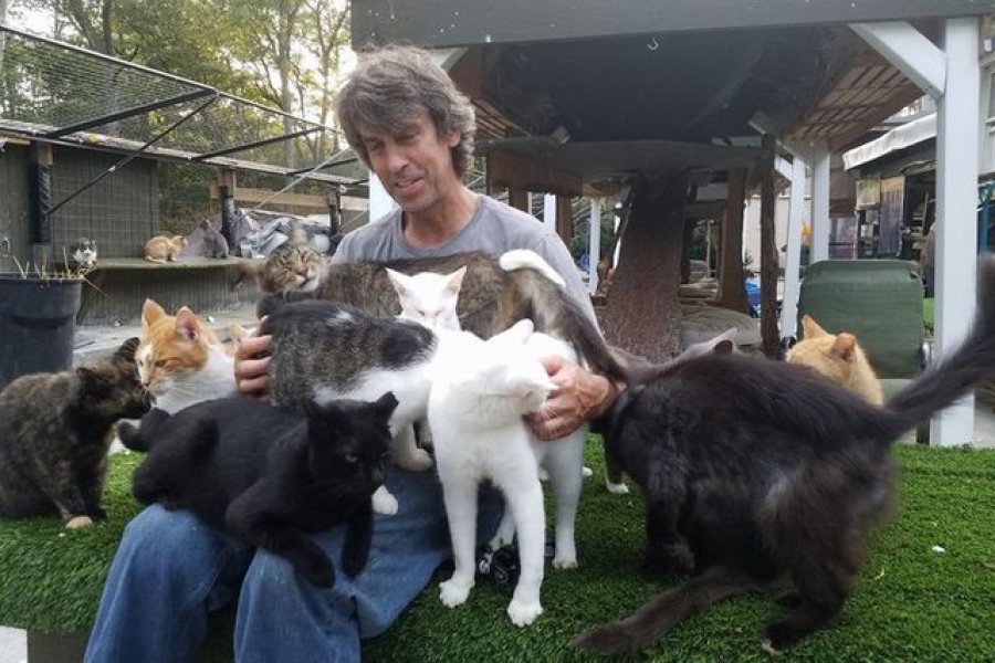 Njeriu që dha jetën në përpjekje për të shpëtuar macet nga zjarri që ra në godinën ku ai i strehonte ato prej vitesh