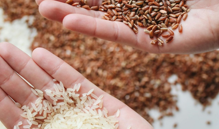 Orizi kaf apo i bardhë?/ Ja cilin rekomandojnë ekspertët