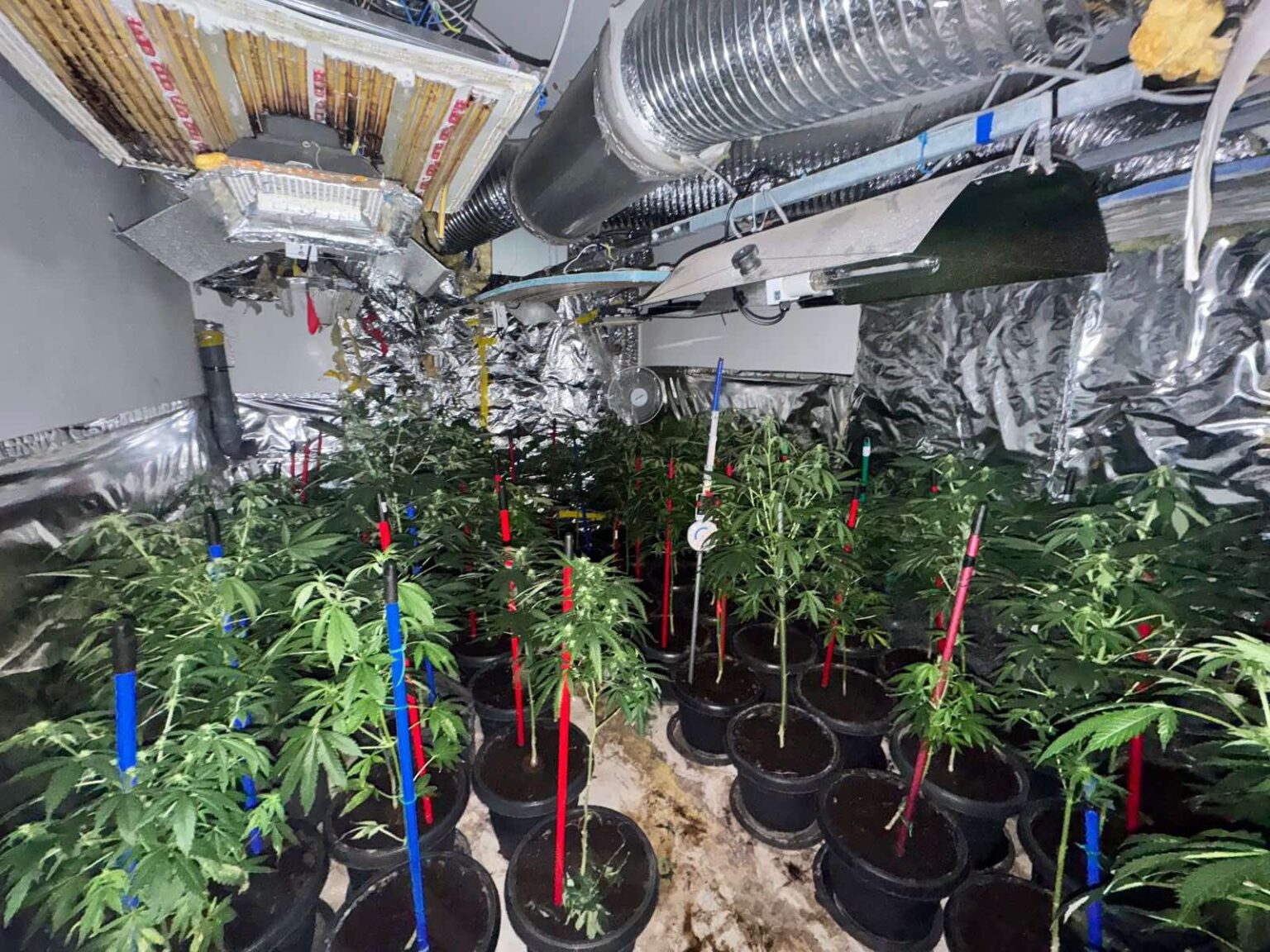 Pamje brenda laboratorit të drogës në Prizren- Arrestohen tre persona