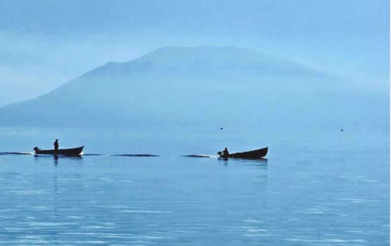 Peshkatarët e Pogradecit kundërshtojnë ndalimin e peshkimit me rrjeta në liqen