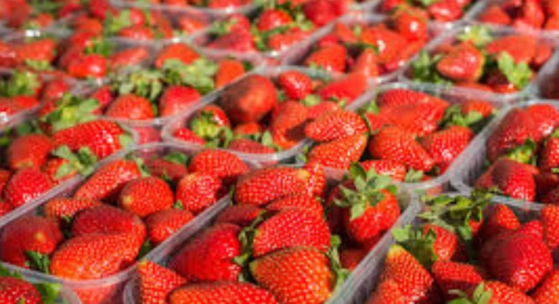 Pesticidi në luleshtrydhet nga Greqia, eksperti: Rrezik për fertilitetin, mund të shkaktojë kancer