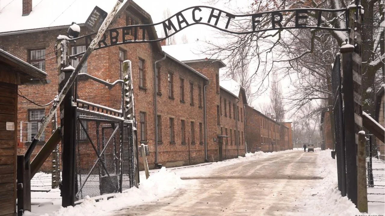 Pikë kthese për gjermanët/ Studimi: Njerëzit s’duan të kujtojnë të kaluarën naziste