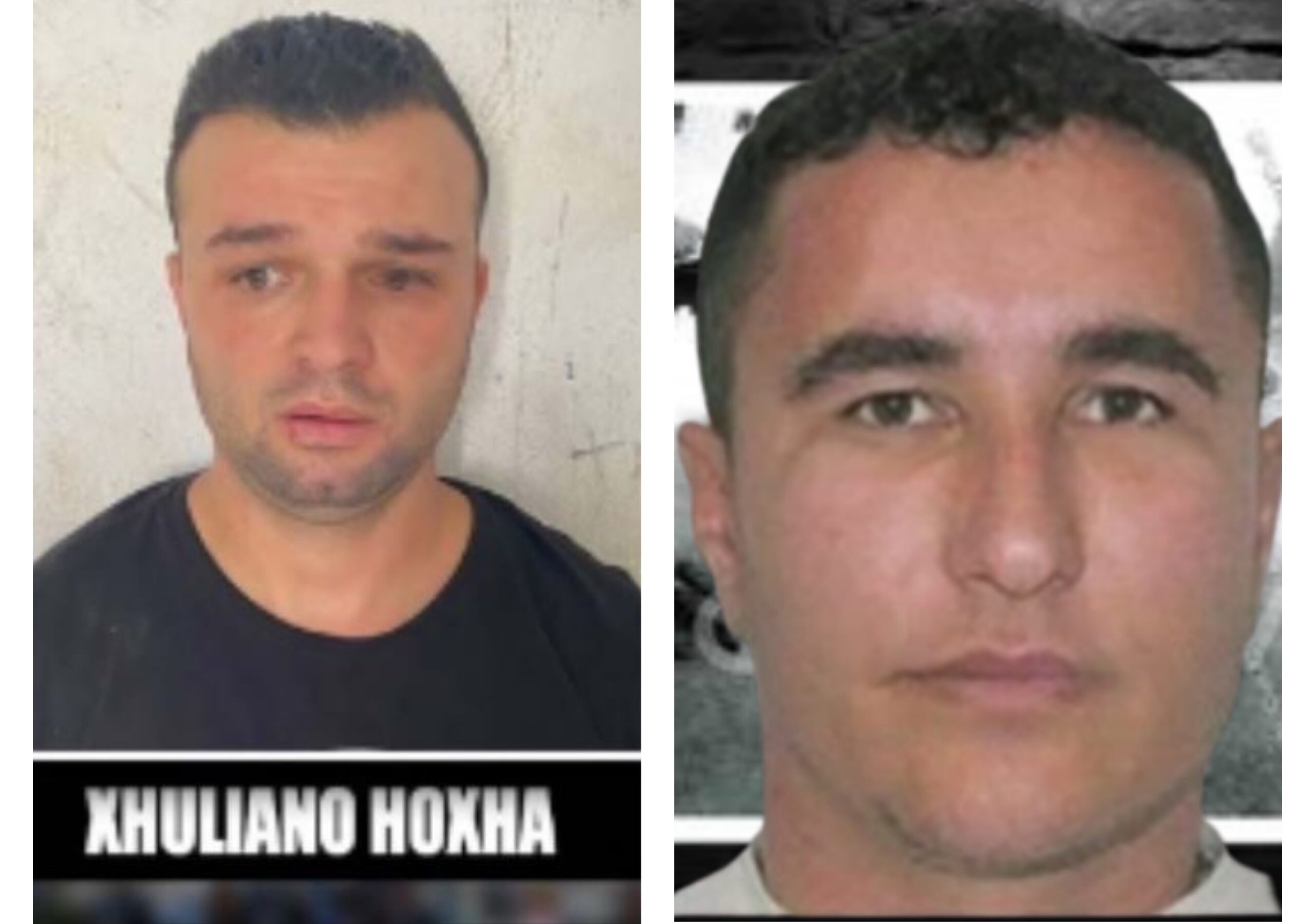 “Plumbi i Artë”, trondit dëshmia: Vrasjen e Otit e porositi Alibej, kishte marrëdhënie me gruan e tij