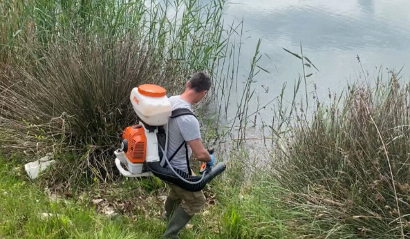 Prag sezoni/ Prania e lartë e mushkonjave, nis dezinfektimi në Shëngjin