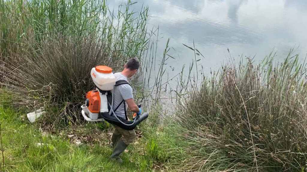 Prania e lartë e mushkonjave, nis dezinfektimi në Shëngjin