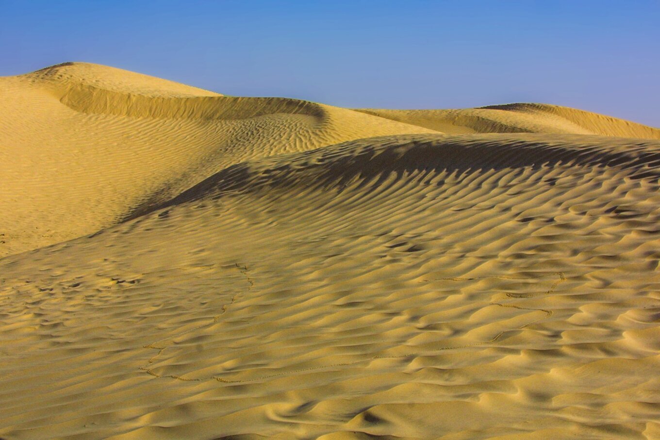 Raca e panjohur njerëzore që jetonte në ‘Saharanë e gjelbër’ 14,000 vjet më parë