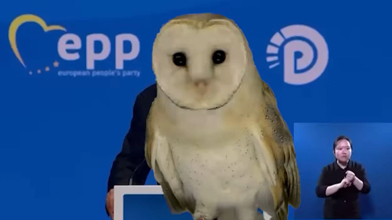 Rama për fjalën e Berishës në Spanjë: Vajmedet, përfytyroje ç’mendojnë të huajt