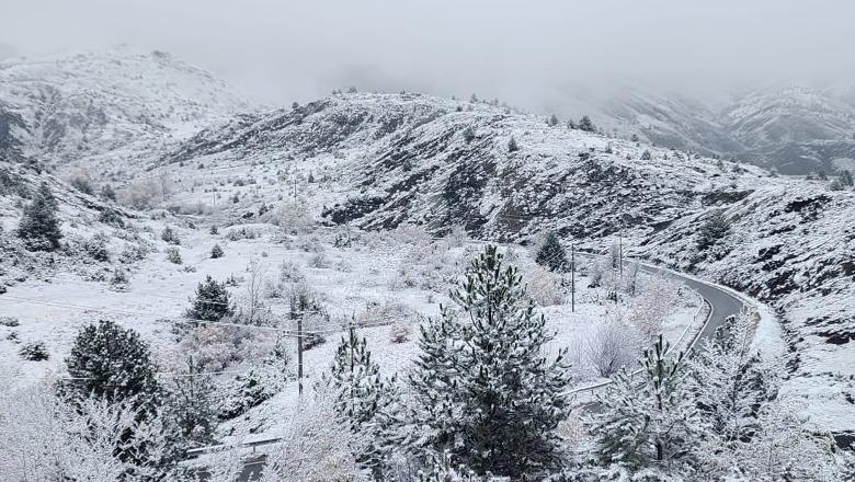 Shkoi për të prerë dru në pyll dhe nuk u kthye më,  zhduket pa asnjë gjurmë 27-vjeçari në Has