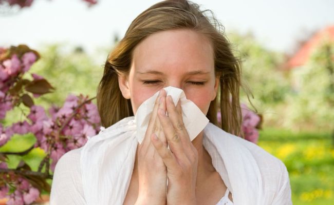 Shtohen alergjitë e stinës, mjekët: Mos përdorni medikamente pa u konsultuar