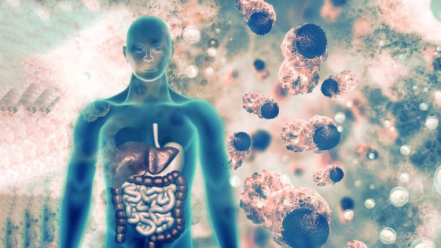 Si t’i pastroni organet nga toksinat dhe të mos sëmureni apo ndiheni të lodhur më asnjëherë