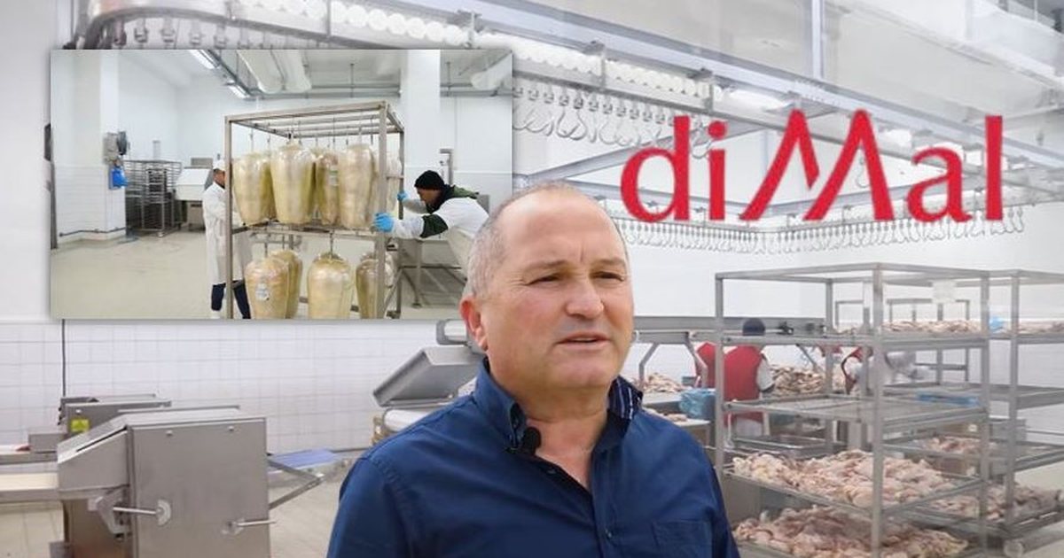 Skandali me mishin me salmonelë! Ndalohet vëllai i pronarit të ‘diMal’, Arben Goxha do të hetohet në gjendje të lirë