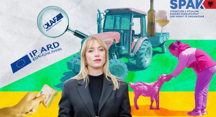 SPAK drejt mbylljes së dosjes së Frida Krifcës, ja si ish-ministrja abuzoi me fondet e BE, paratë shkuan te kriminelët