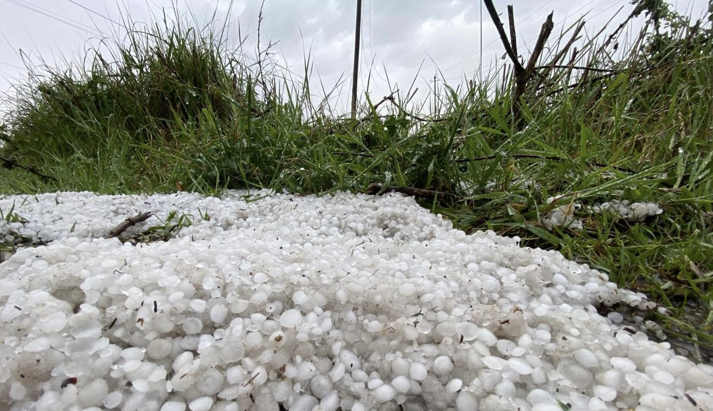Stuhi breshëri në Fier, dëmtohen 60 hektarë pemëtari