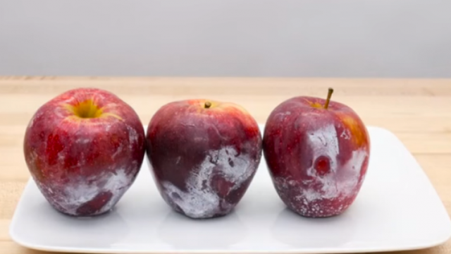 Test i thjeshtë në shtëpi, si të kuptoni nëse mollët janë bio