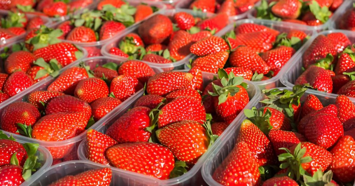 Tjetër SKANDAL/ Luleshtrydhet e importuara nga Greqia kanë pesticide, AKU: Nuk i bllokuam dot!