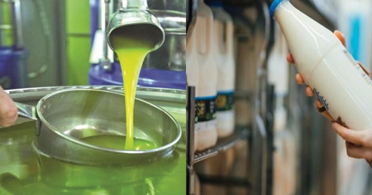 Tregu përmbytet nga vaji i palmës, në 2024 u importua 2.9 milion litra, ekspertët: Ka çmim të ulët, por është i rrezikshëm