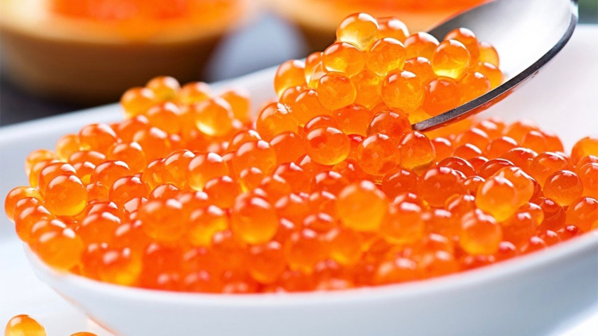 Vezët e Peshkut, Burimi Natyral i Shëndetit të Mirë