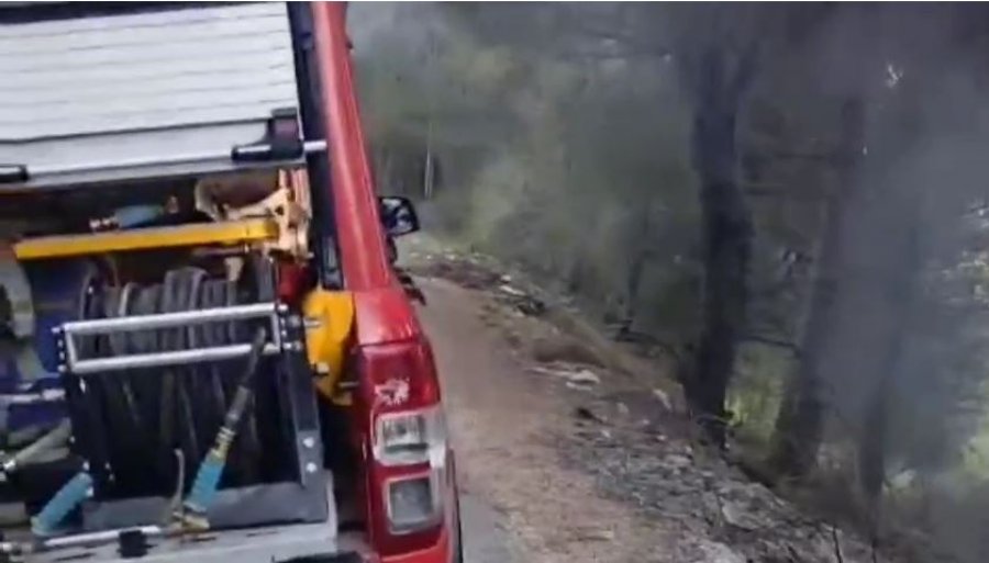 VIDEO/ Digjet pylli me pisha në Velabisht, zjarri dyshohet i qëllimshëm