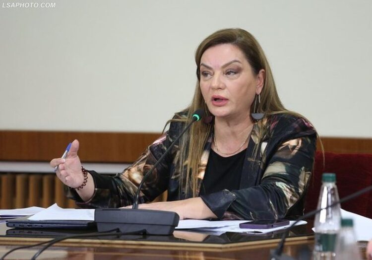 Vokshi: Perdja e propagandës ra, PD po informon faktorin ndërkombëtar për krimet e Ramës