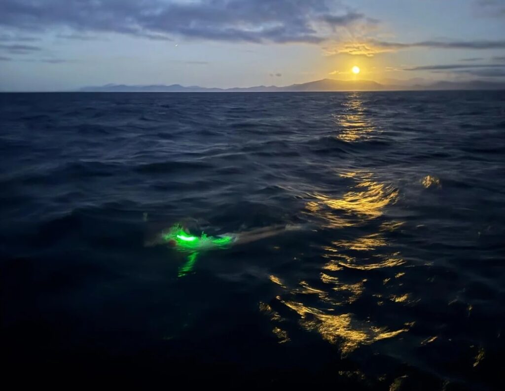 14 orë në det të hapur! Sfidë limitesh, 17-vjeçarja u reziston pickimeve të mijëra kandilëve