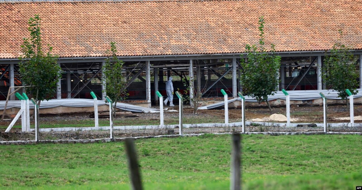 Brazilit s’i lejohet të eksportojë mish dhe shpendë në BE