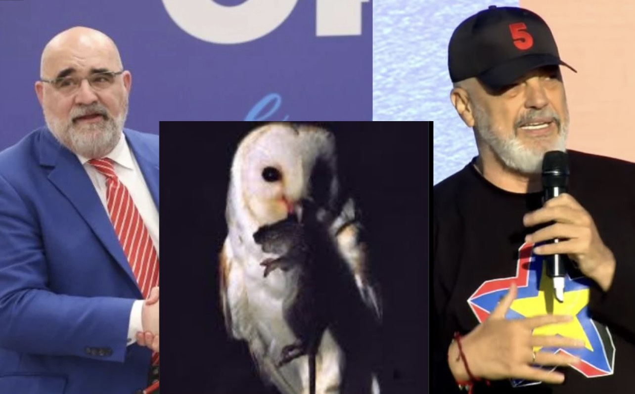 Chris LaCivita ironizon kryeministrin Rama, publikon foton e bufit duke ngrënë miun