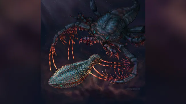 Dhëmbët tanë kanë evoluar nga ‘koraca’ e peshqve të lashtë rreth 460 milionë vjet më parë