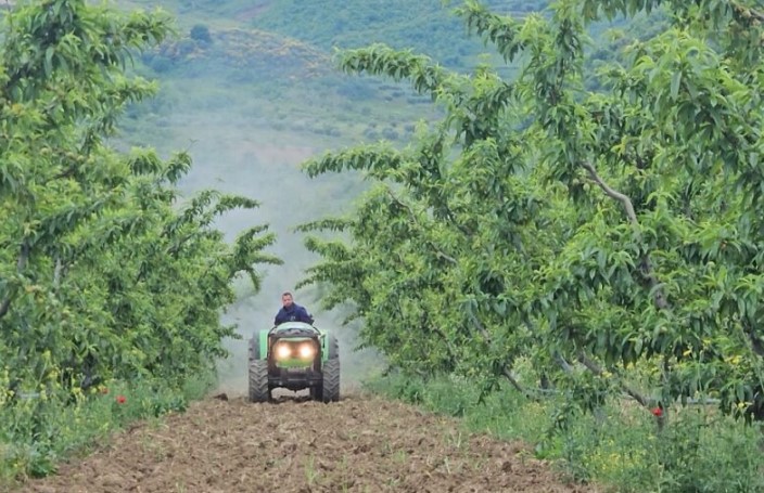 Fermerët e Beratit i kthehen bujqësisë organike/ Prodhimi i frutave, për eksport