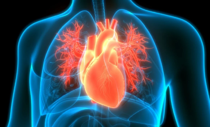 Fruti që ul rrezikun e sulmit në zemër