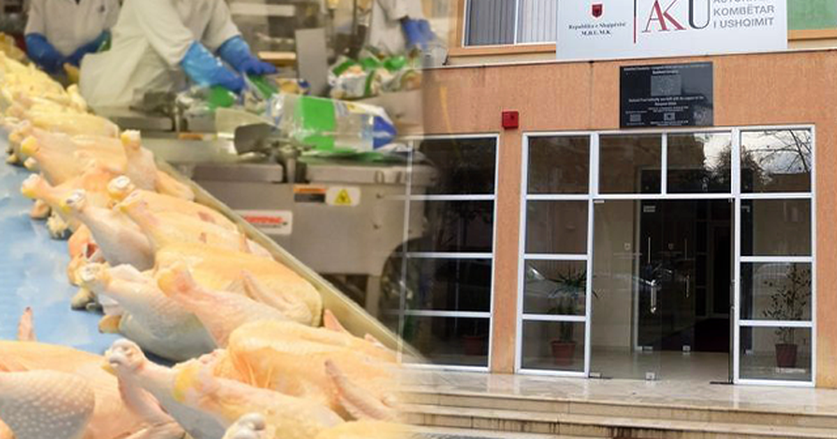 Helmimi i fëmijëve në Gramsh, AKU: Vezët u kontaminuan në ambientet e kopshtit, tek biznesi dolën negative për salmonelë