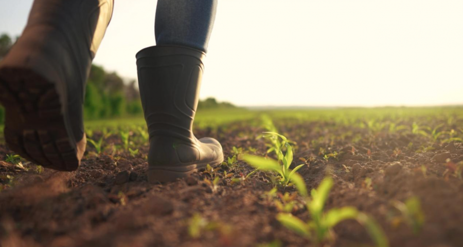 Ja ushtrimi fizik që nuk kërkon pajisje të komplikuar dhe rregullon qëndrimin e trupit