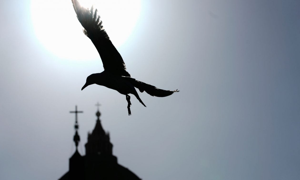 Kur zogjtë ‘flasin’, pulëbardhat që sollën shpresë dhe emocion mbi oxhakun e Kapelës Sistine