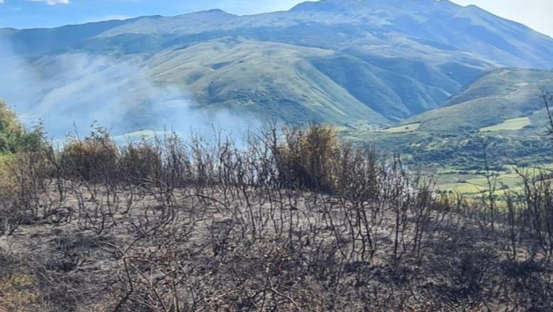 Marrin flakë kullotat në Memaliaj, dyshohet për zjarrvënie të qëllimshme nga një bari