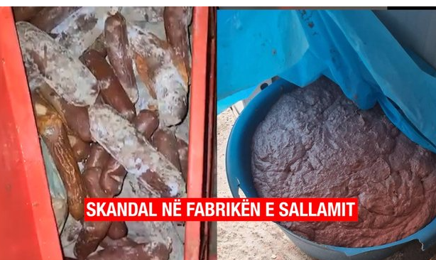 Mish i kalbur shitet duke u kthyer në sallam!