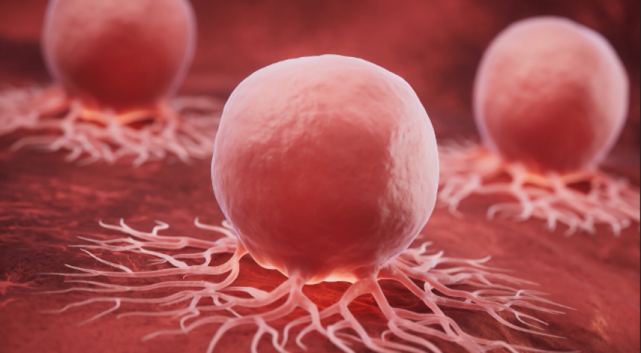 Një terapi e re në luftën ndaj sëmundjeve tumorale