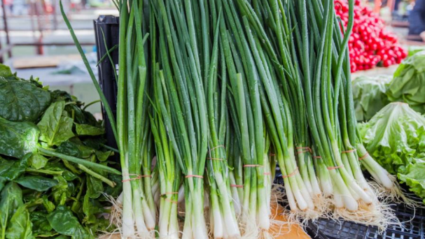 Përfitimet shëndetësore që vijnë nga konsumimi i qepëve të njoma