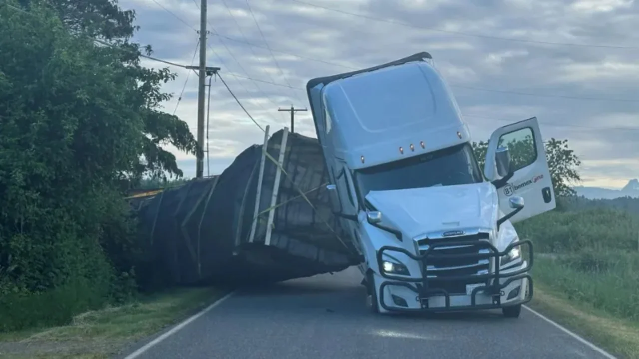 Përmbyset kamioni që po i transportonte, 250 milionë bletë pushtojnë rrugët në SHBA