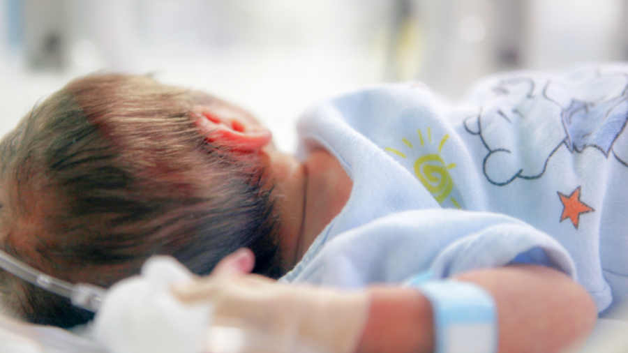 Përshpejtohet rënia e lindjeve, në 4 vite 26% më pak foshnja! Ja qytetet më të prekura nga ky fenomen