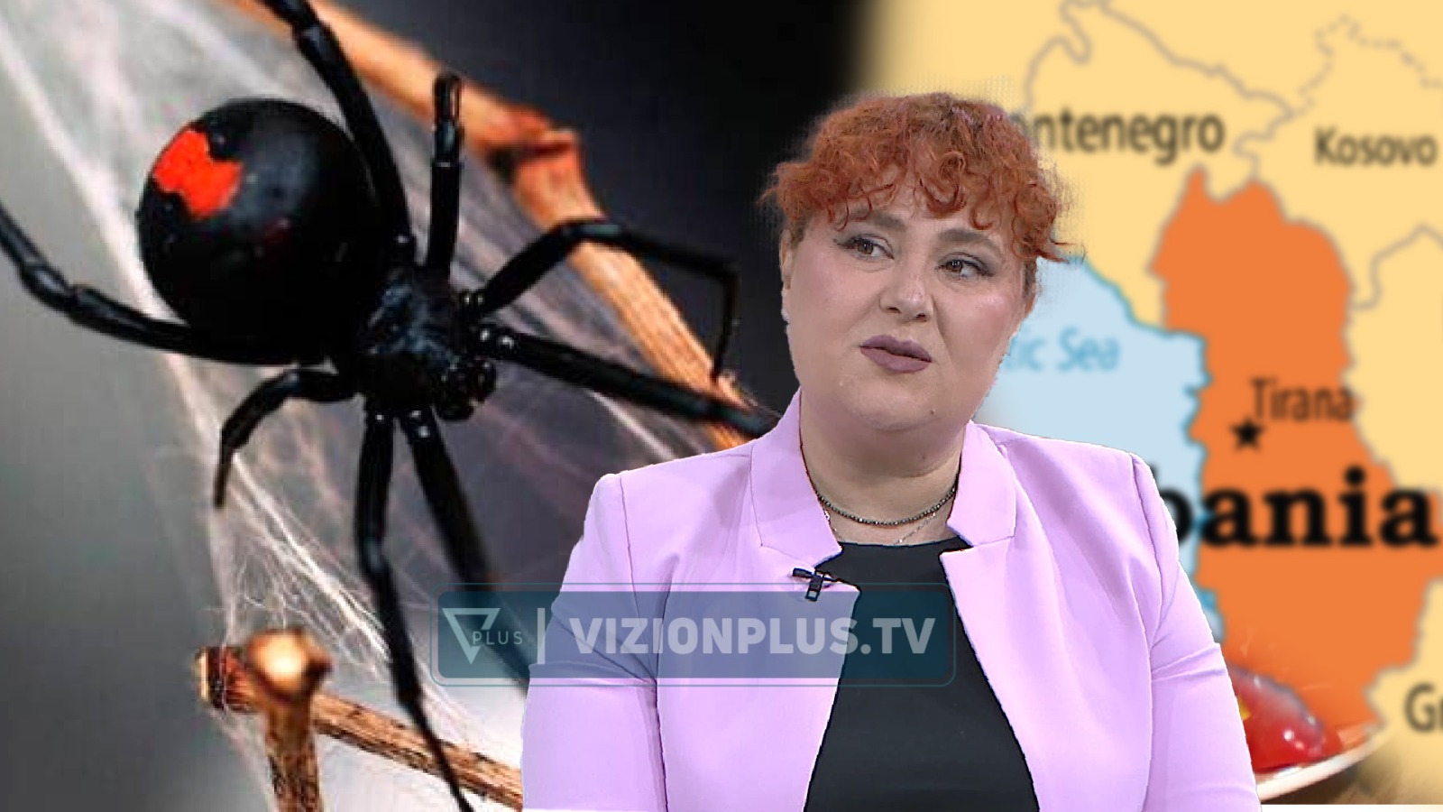 Rreziku nga pickimi i Vejushës së Zezë deri në paralizim, mjekja tregon qytetet në Shqipëri ku gjendet më shpesh