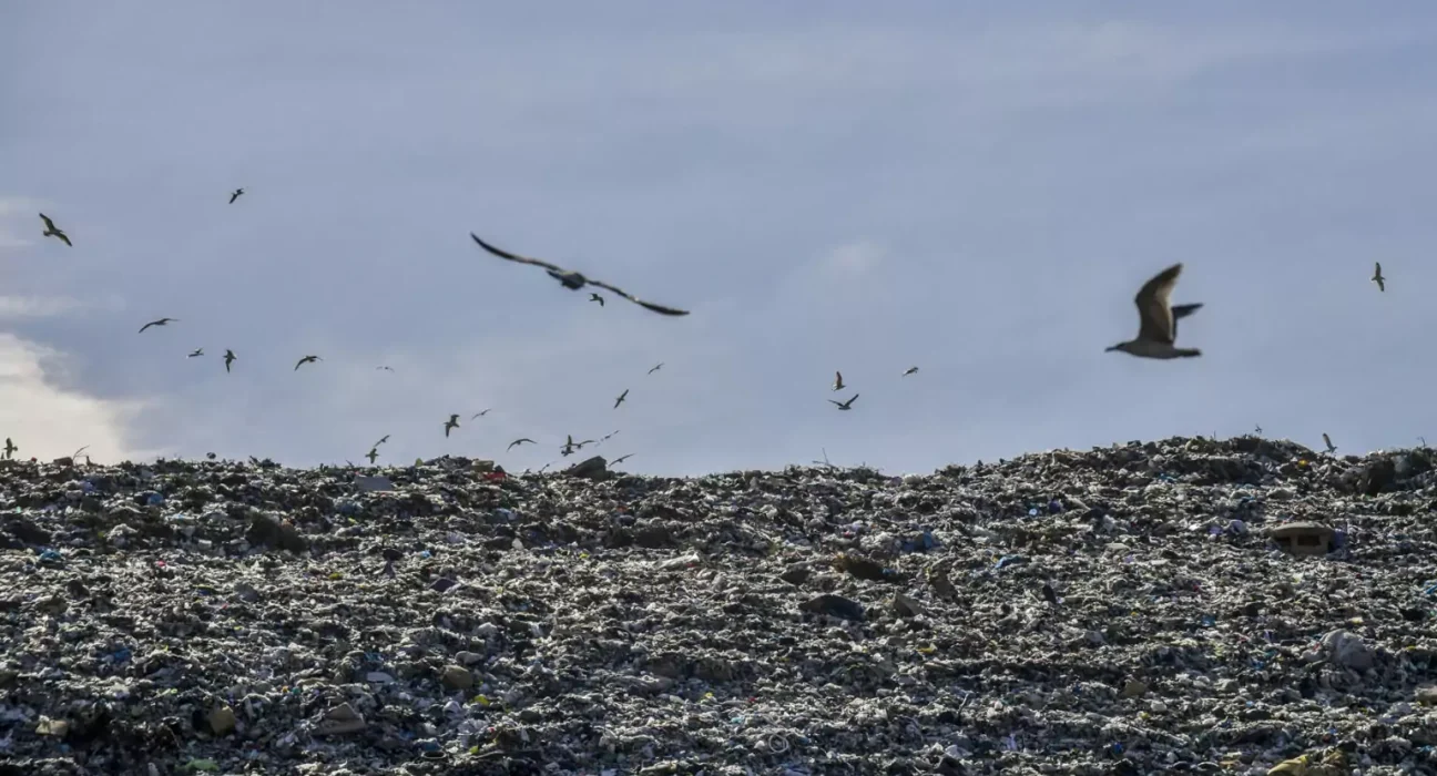 Sharrë, plehrat në derë të banesave, një incenerator fantazmë dhe një komunitet që jeton mes plehrave