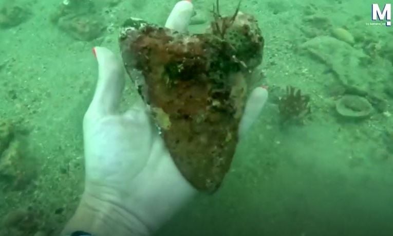 SHBA, zhytësi zbulon një dhëmb peshkaqeni të madh dhe të rrallë në brigjet e Floridës