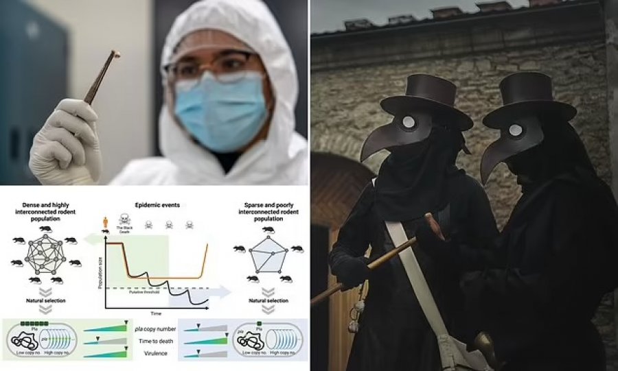 Shkencëtarët zgjidhin misterin e sëmundjes që vrau miliona njerëz