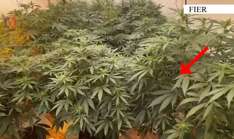 “Shtëpia e barit” në Fier, Prokuroria nis hetimet ndaj pronarit të banesës dhe punonjësit të OSHEE