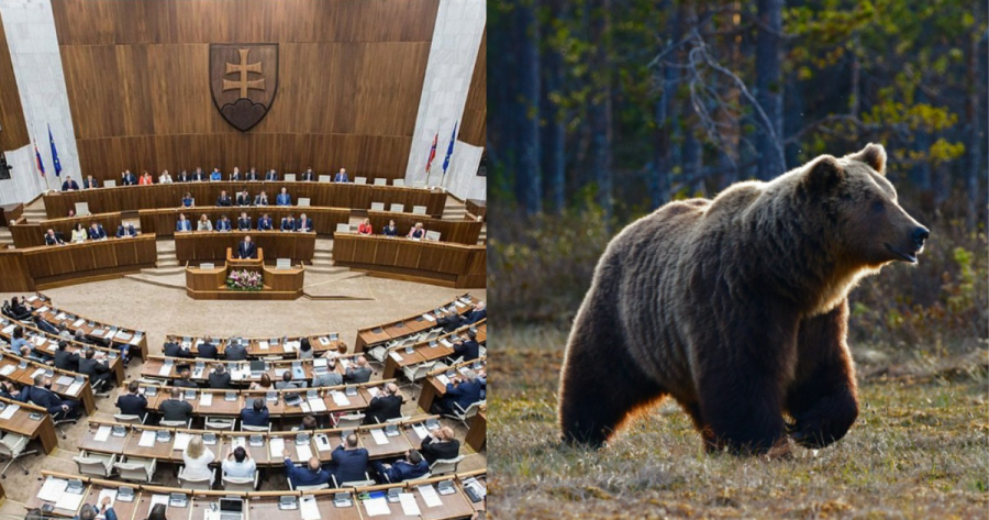 Sllovakia lejon tregtimin e mishit të ariut, organizatat mjedisore kundër…