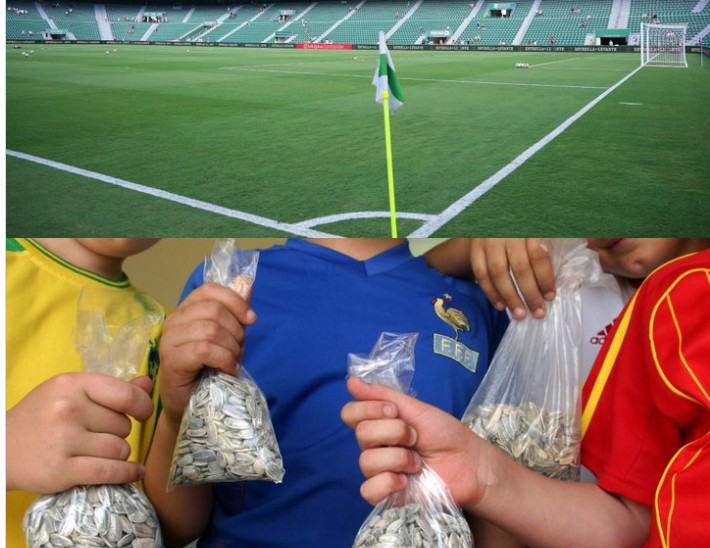 Stadiumi prej 34.000 vendesh mbushet plot me minj, klubi i njohur në Spanjë merr vendimin drastik: Ndalon shitjen e farave të lulediellit