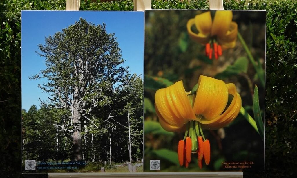 Thesaret e natyrës shqiptare, ekspozitë me 100 foto