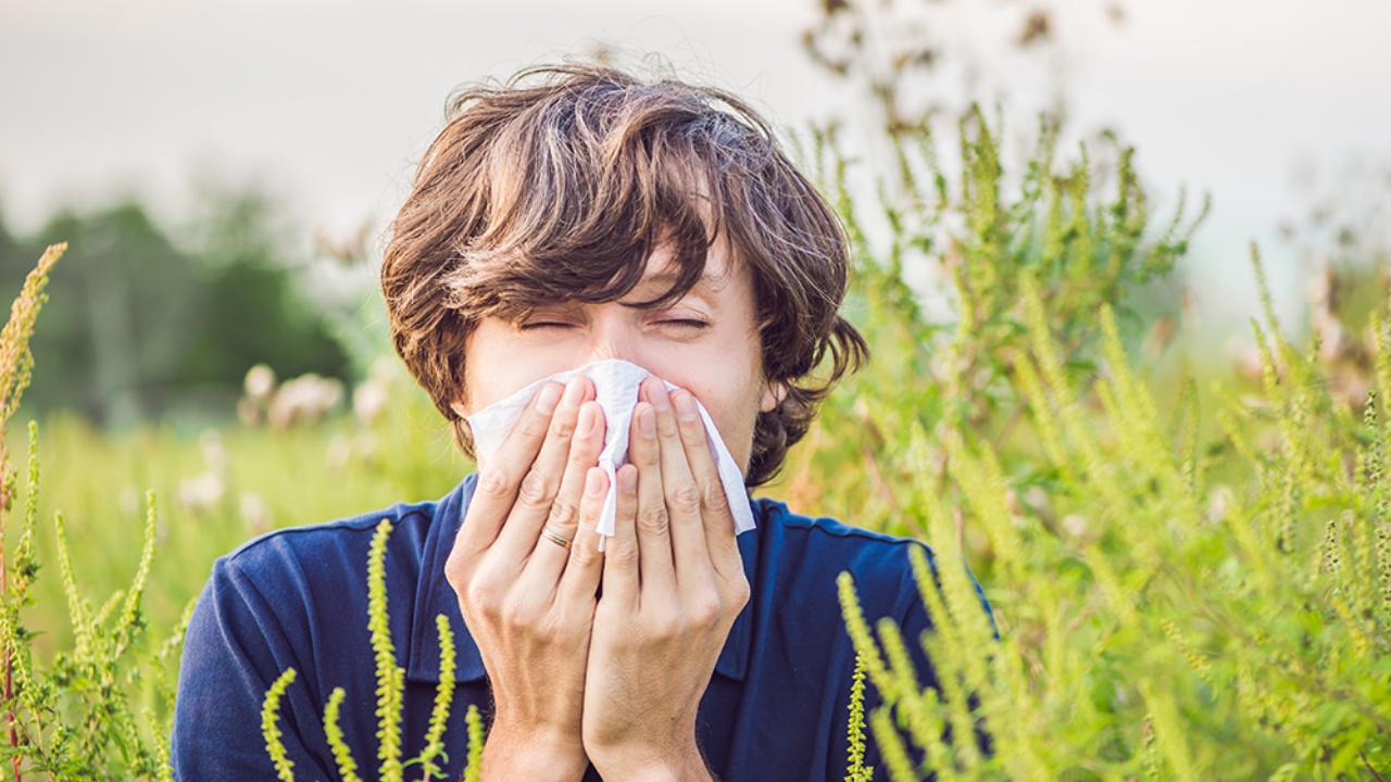 Ushqimet që do t’i mbajnë larg alergjitë e pranverës